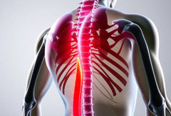 Bevrijd je van lage rugpijn: effectieve lumbago oefeningen voor thuis