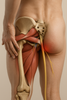 Ontsnap aan de pijn: herken en behandel piriformis syndroom effectief