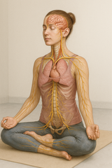 Ontdek hoe yoga je stressniveau kan verlagen