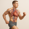 Verhoog je uithoudingsvermogen met cardiotraining en voel je vitaler dan ooit!